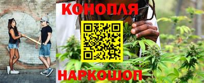 бошки Дубна