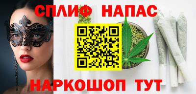 бошки Дубна