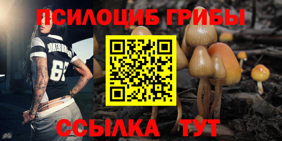 Псилоцибиновые грибы MAGIC MUSHROOMS Качканар